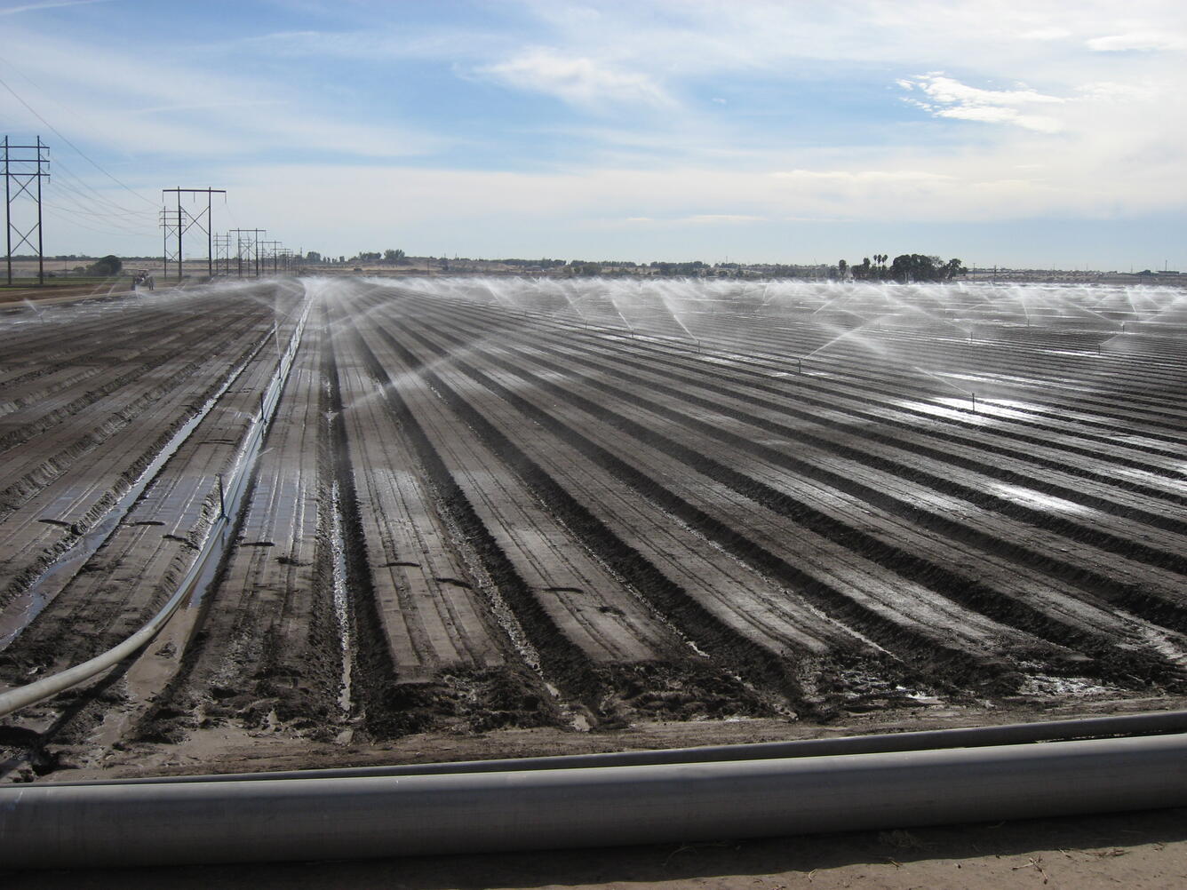 Row-crop sprinkler irrigation in use