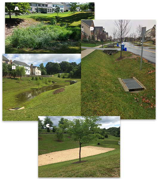 Figure 1. Photographs showing example best management practices
