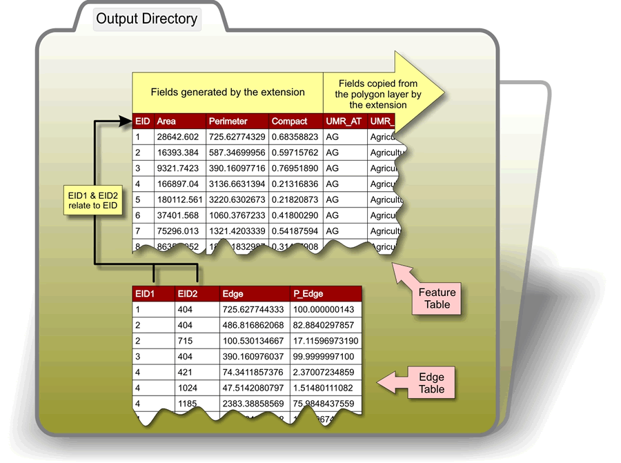 The Features output file and the Edges output file.