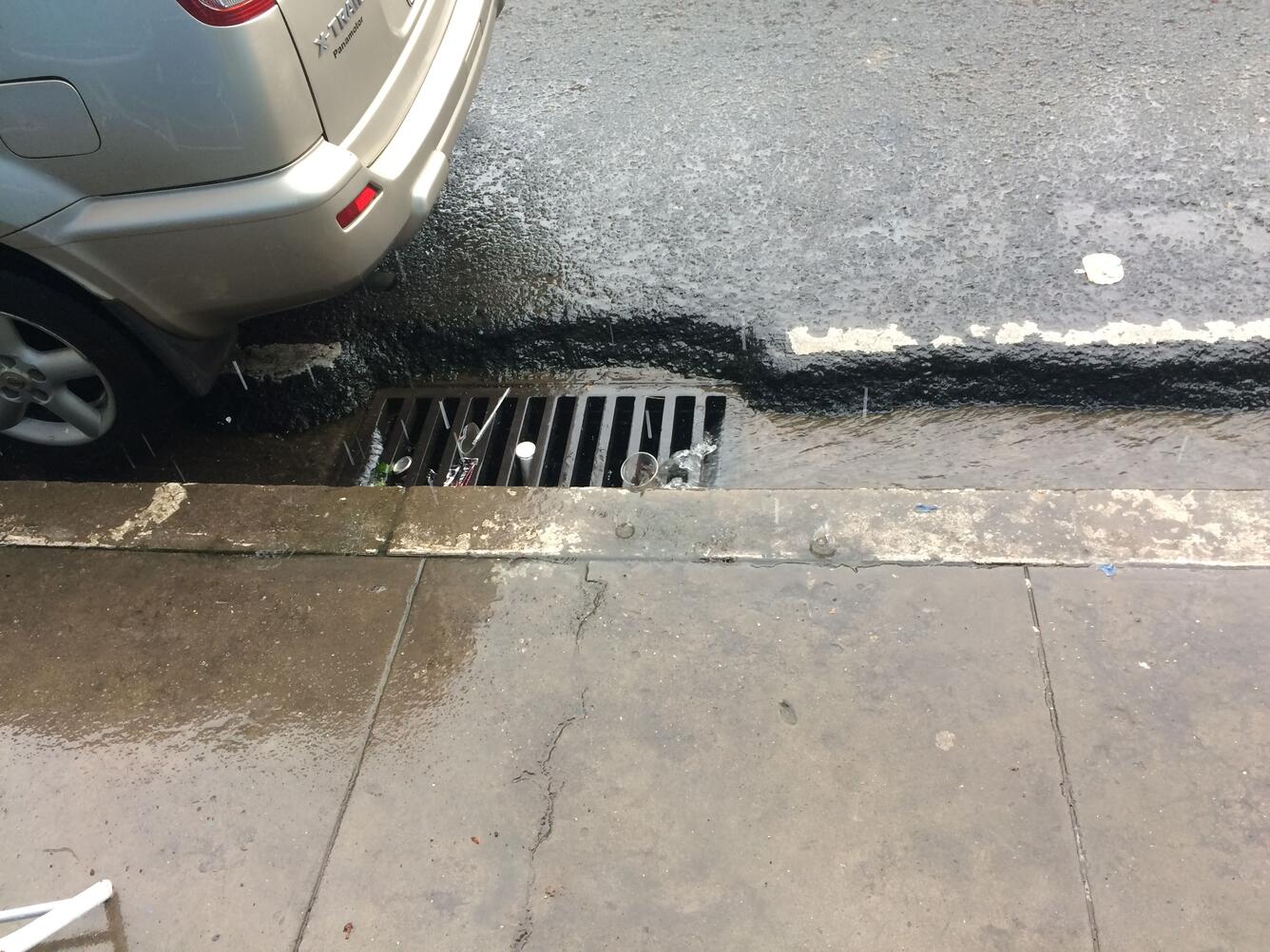 Runoff from roadways carries pollutants to streams and rivers