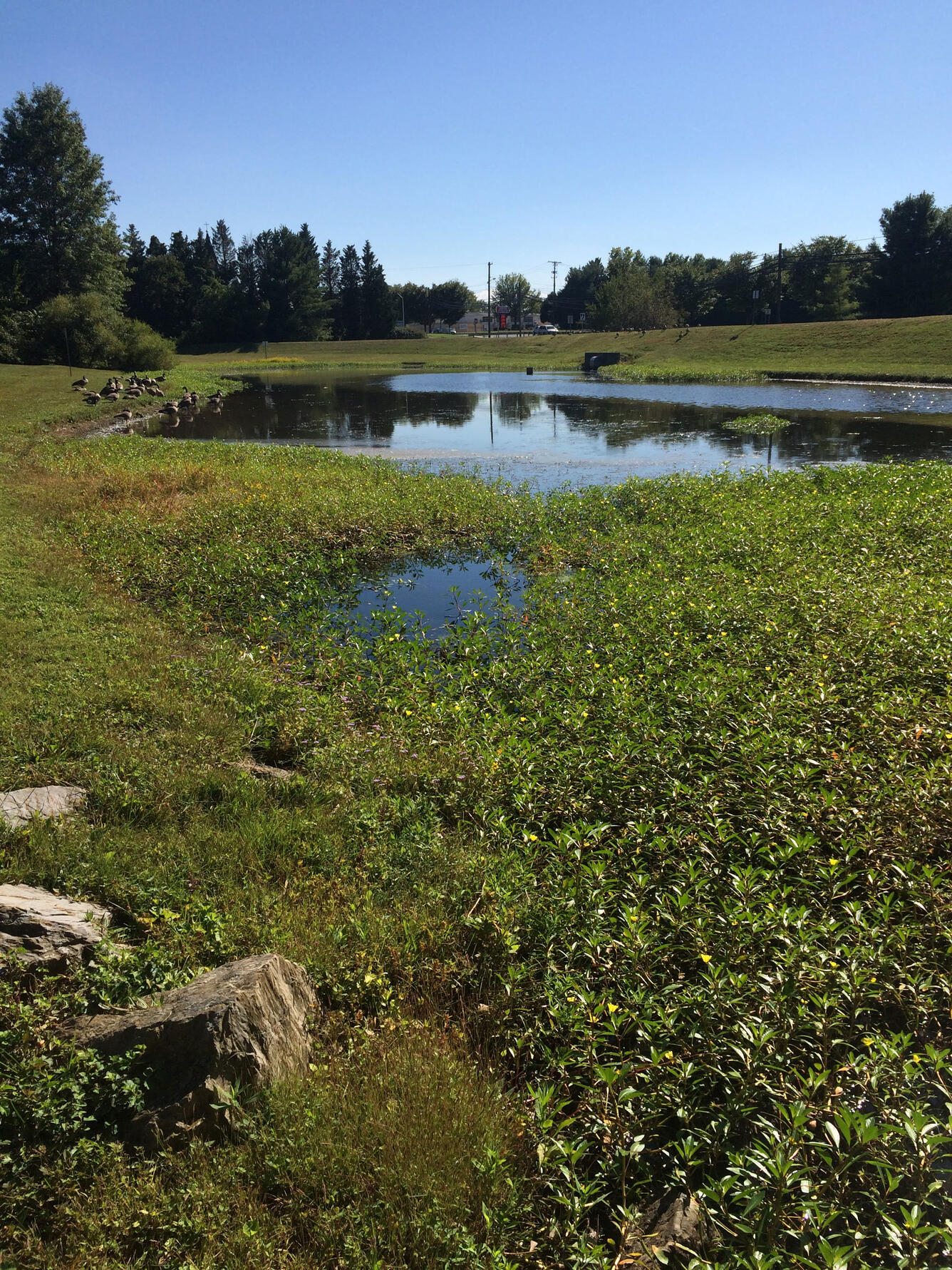Stormwater retention pond