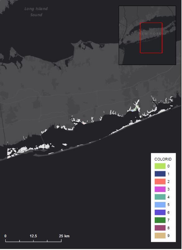 Graphic of conceptual marsh units of FIIS salt marsh complex overlaying basemap