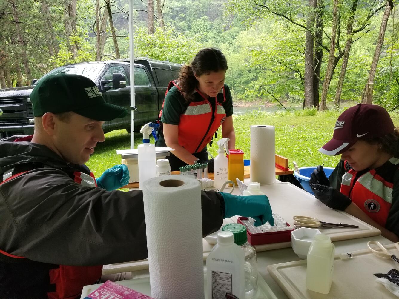 Scientists conducting health assessments on smallmouth bass collected.