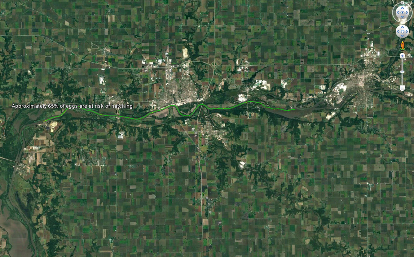 map of river with egg distribution