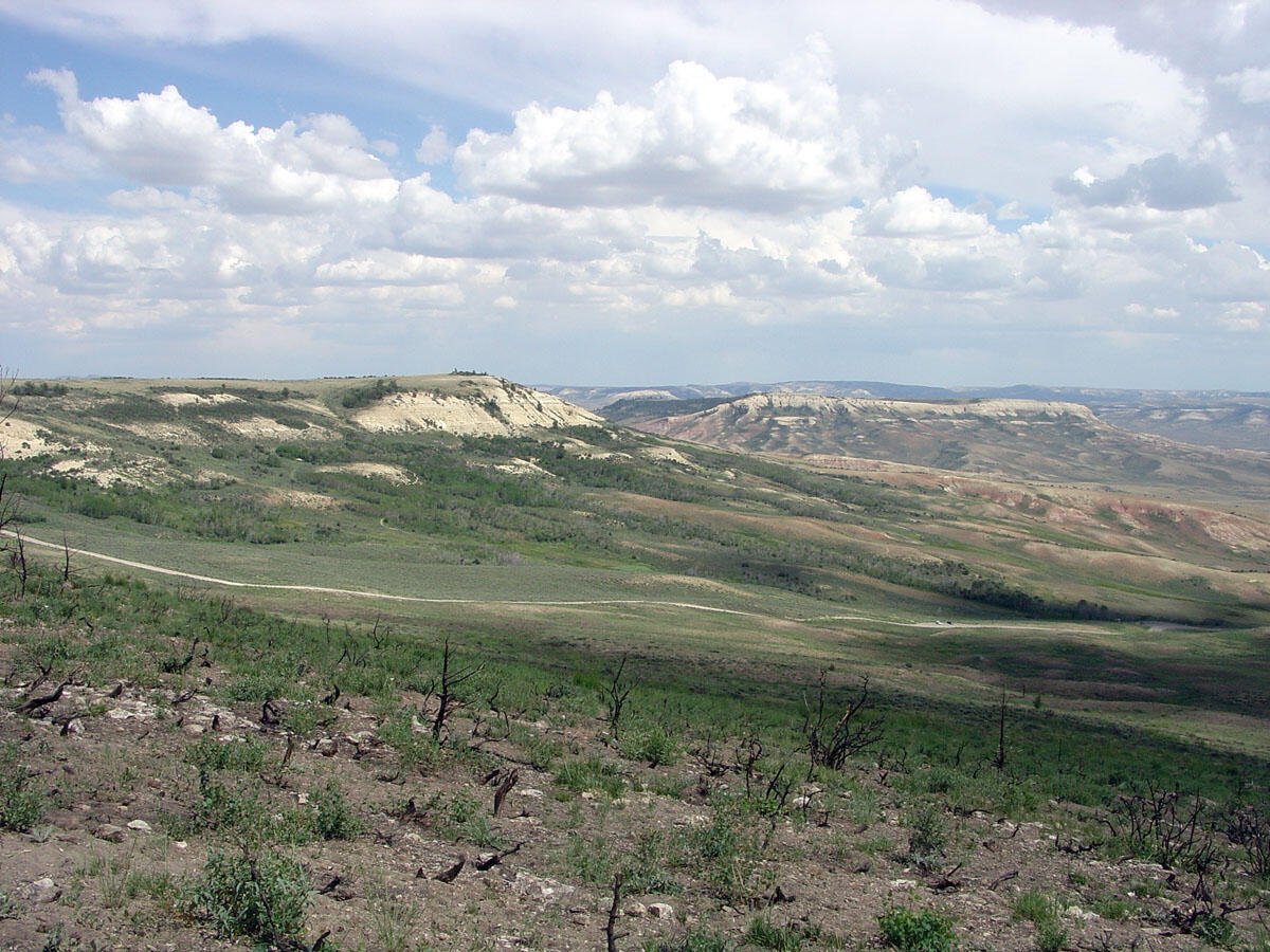 Chicken Creek valley