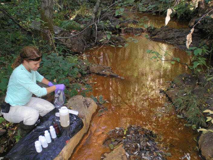 Scientist collecting field samples near water in growth