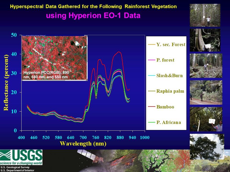 Earth Observing-1 (EO-1) Hyperion hyperspectral signatures of some of the vegetation in the African rainforest.