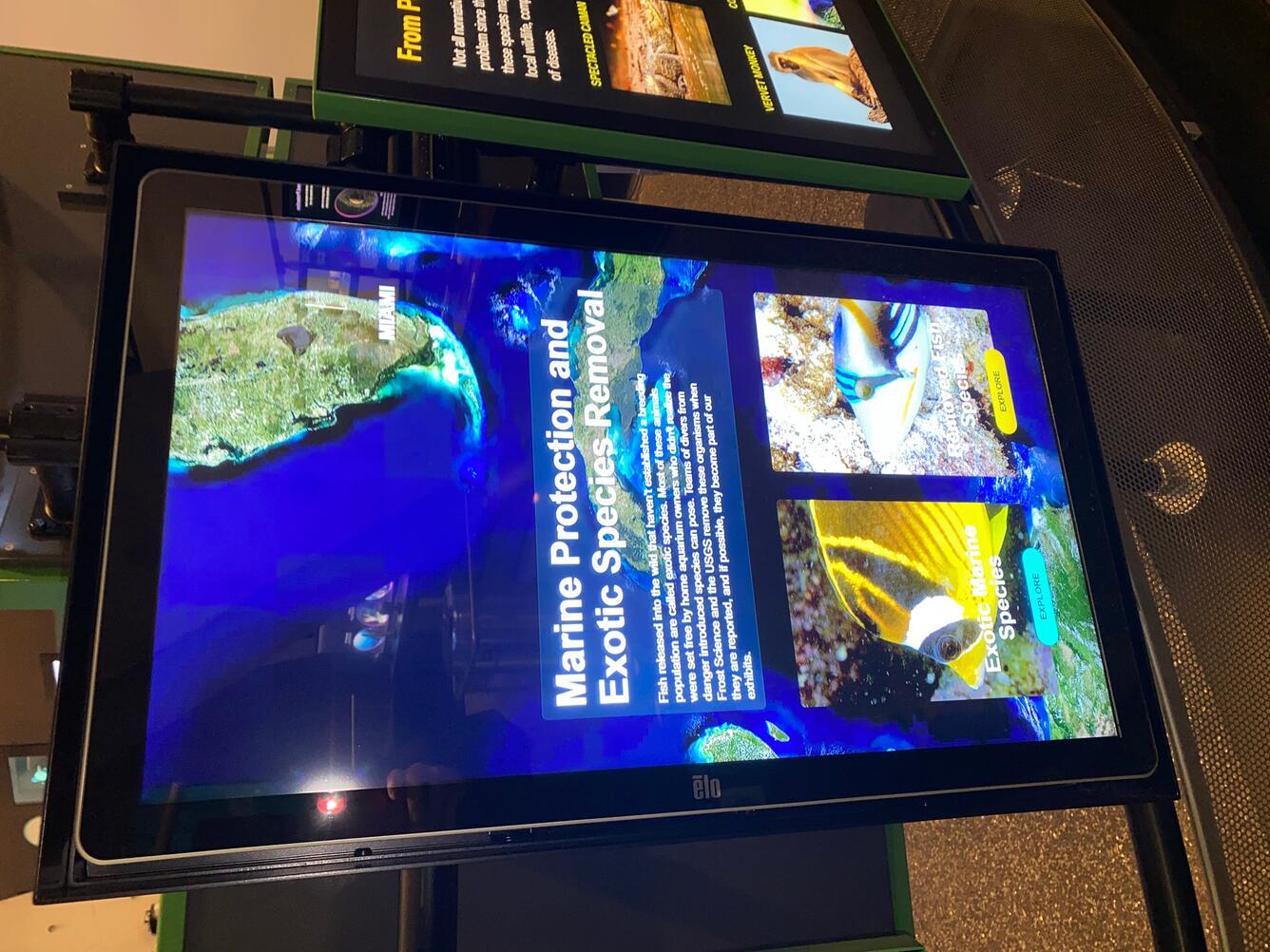 Non-native fishes exhibit at Phillip and Patricia Frost Museum of Science