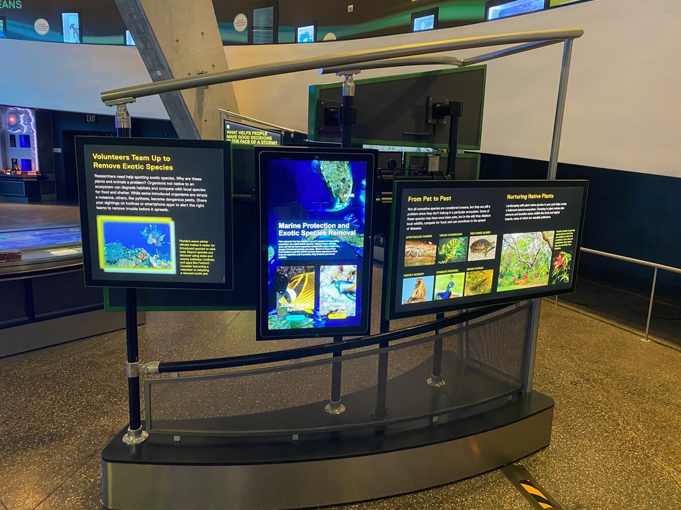 Non-native fishes exhibit at Phillip and Patricia Frost Museum of Science