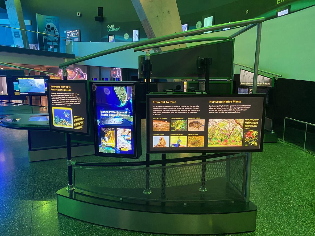 Non-native fishes exhibit at Phillip and Patricia Frost Museum of Science