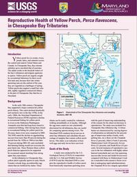 Image thumbnail of FS2013-3055