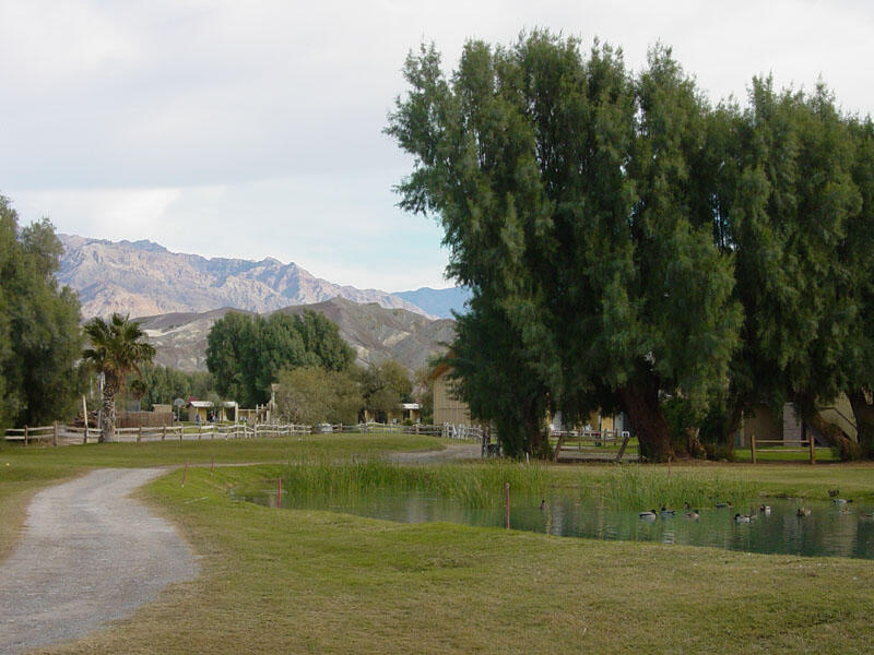 Furnace Creek	