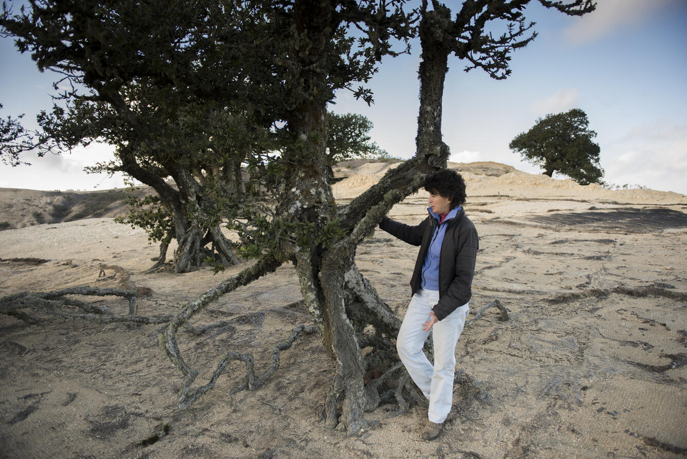 Photo of WERC research scientist Kathryn McEachern on Santa Rosa Island.