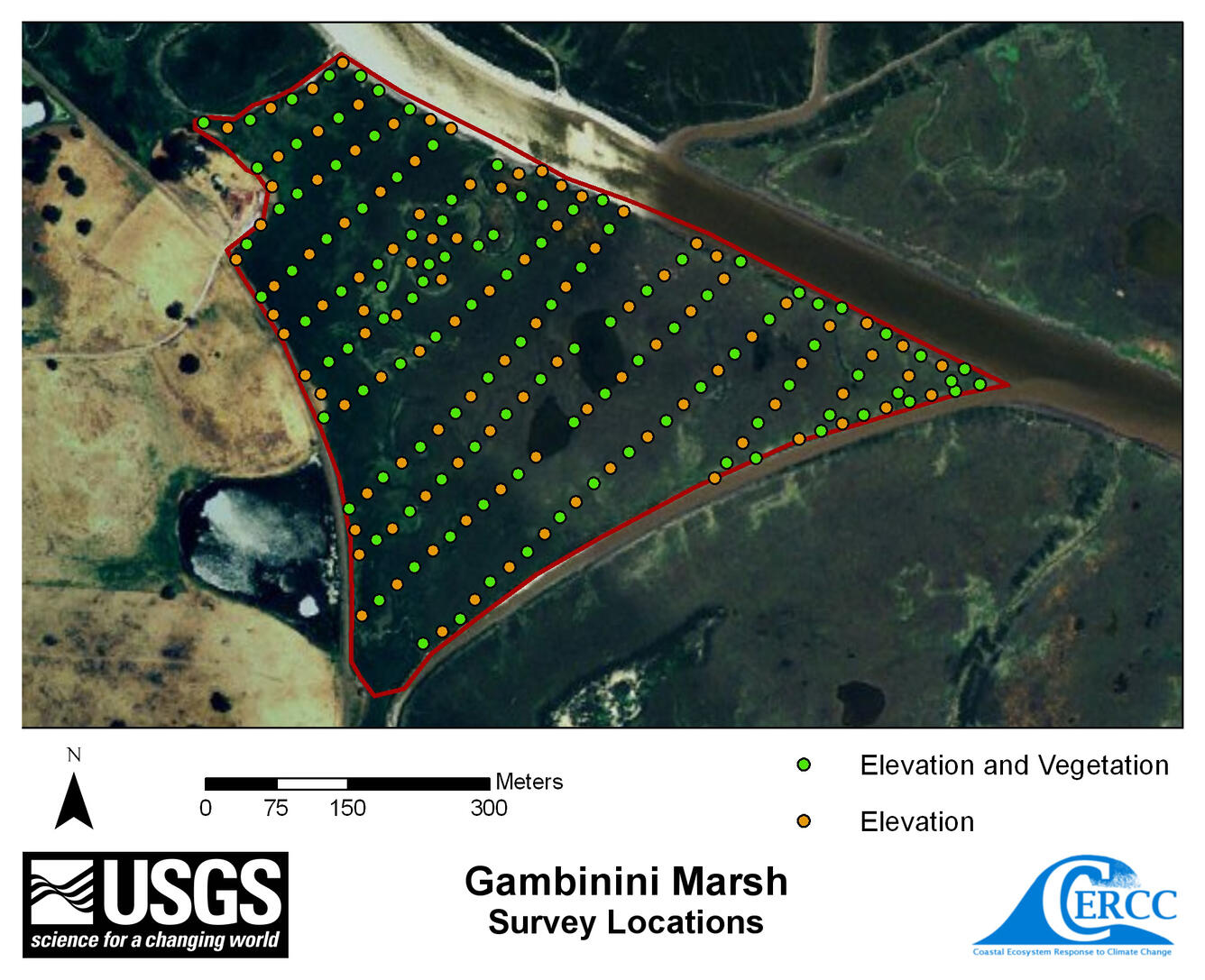 WERC Map of elevation sampling point locations at Gambinini Marsh