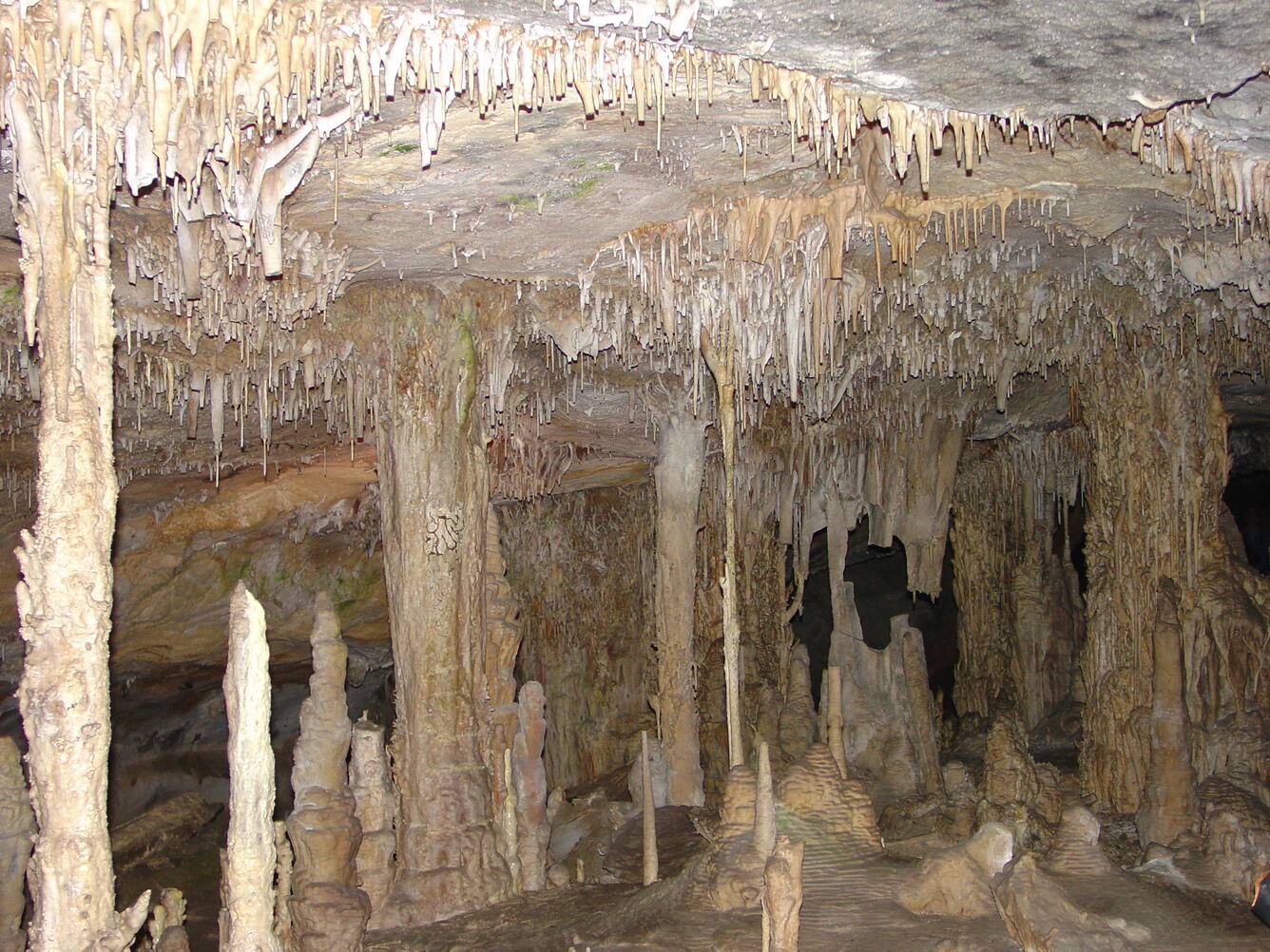 Lehman Cave