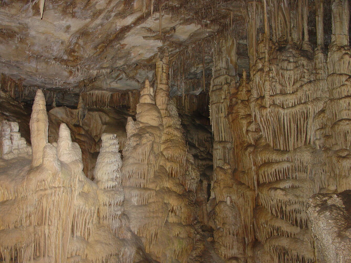 Lehman Cave