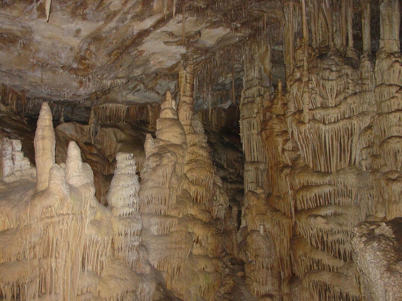 Lehman Cave	