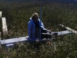 Camille Stagg Staff Profile Page