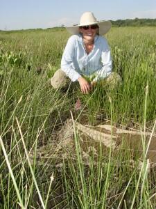 Lisamarie Windham-Myers