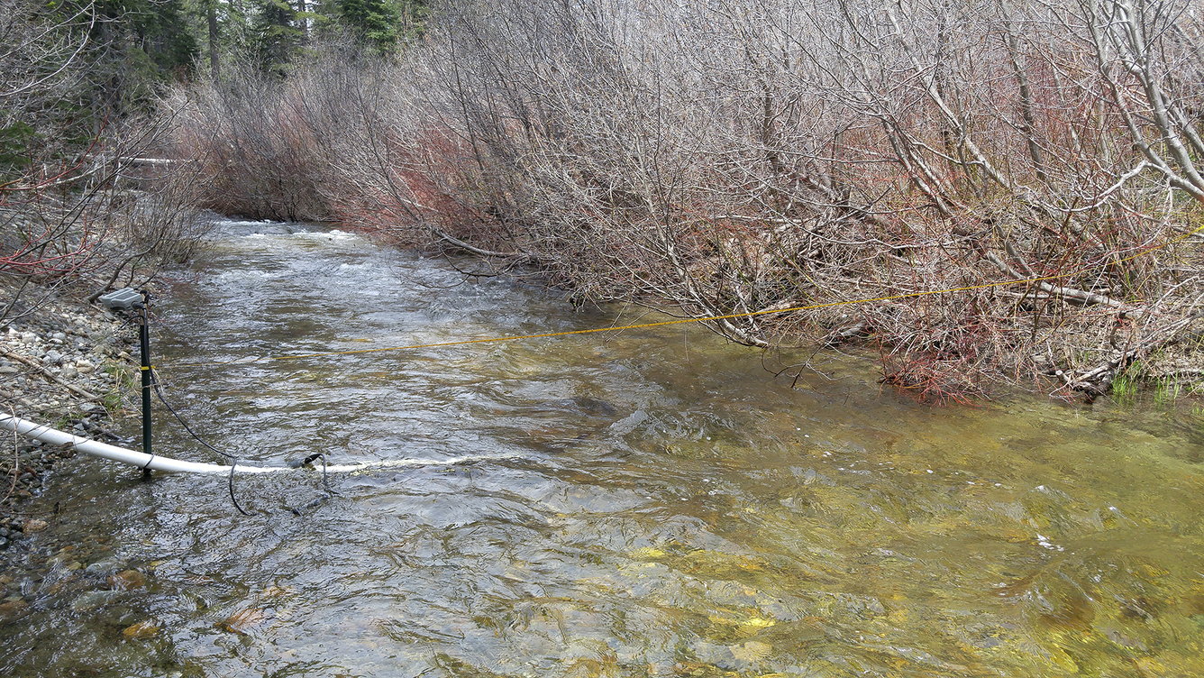 Looking upstream at General Creek, CA