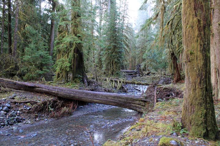 Geomorphology & Sediment Transport