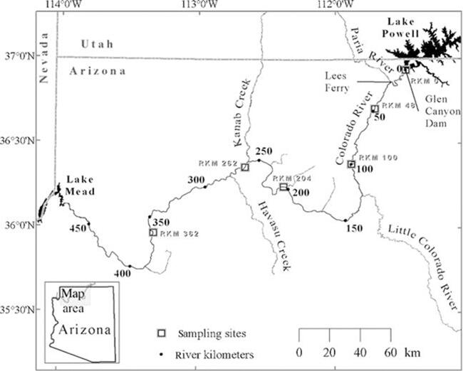Map of the Glen Canyon Dam study area