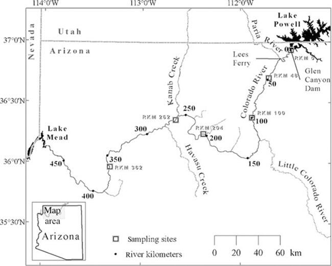 Map of the Glen Canyon Dam study area