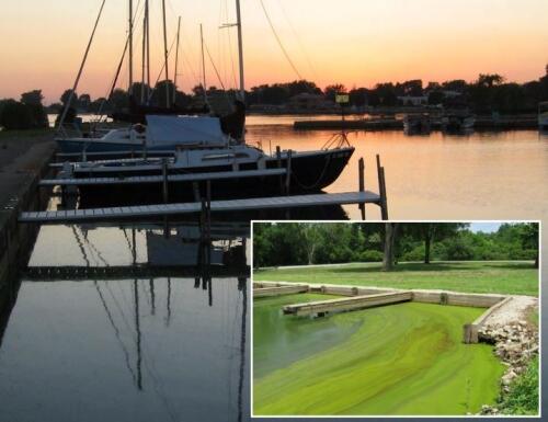 Sailboats at dock with inset photo of another dock