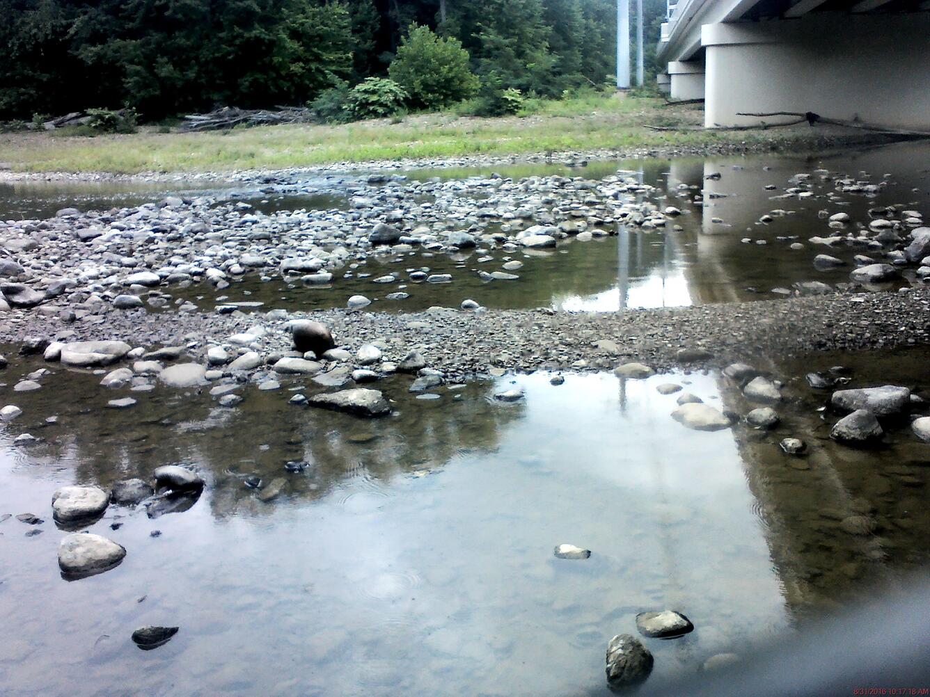 Grand River near Painesville, OH - under the bridge