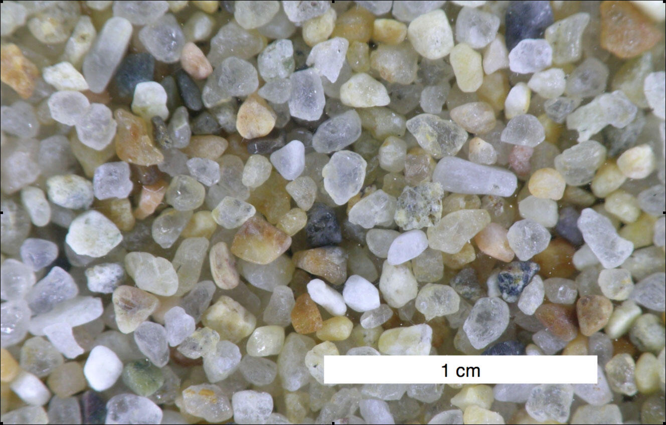 A very close-up photo of sand grains from the Grand Canyon River, with a centimeter scale drawn on top.