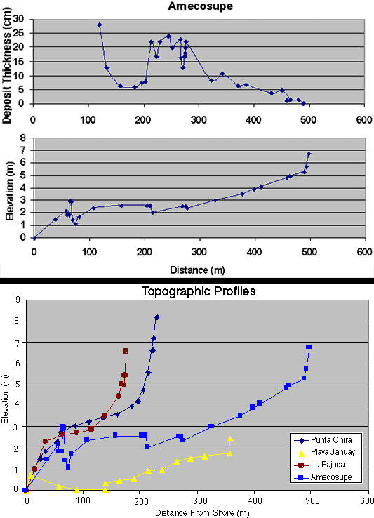 Graphs show sand elevations at various locations inland from a beach.