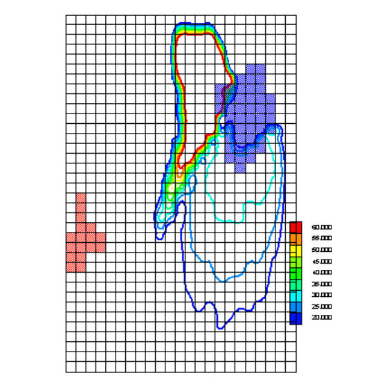 Grid output from GW Chart showing solute transport through a lake.