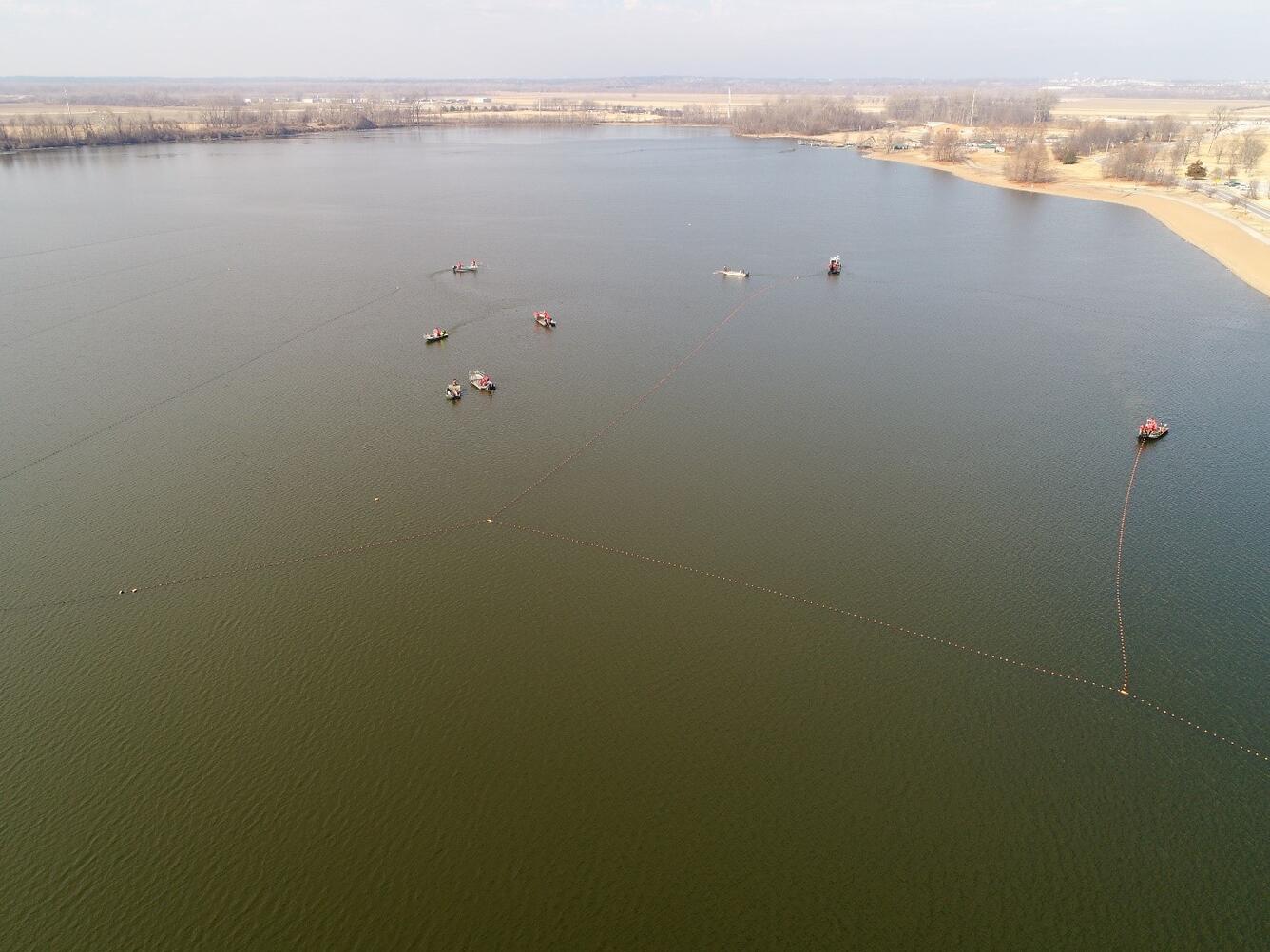 herding and concentrating bigheaded carps