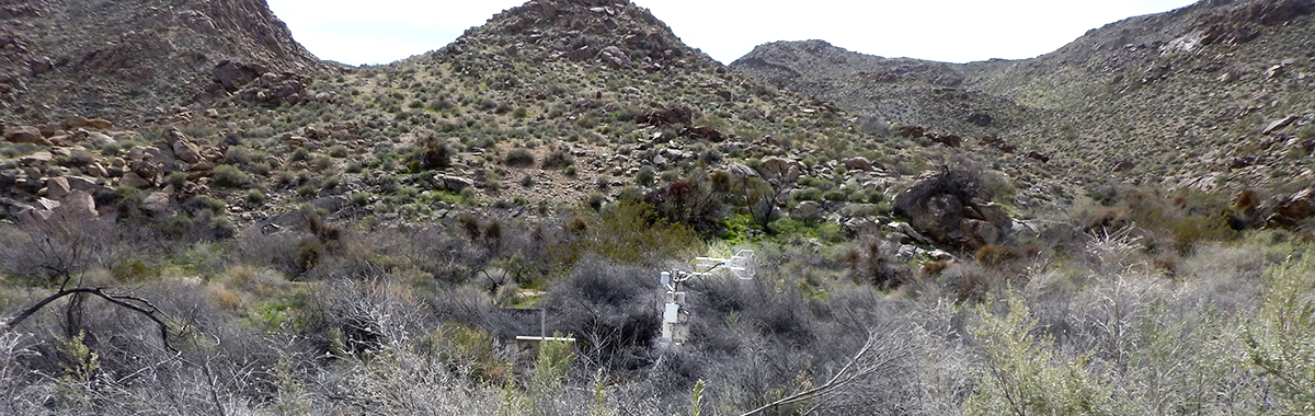 Evapotranspiration station at Hiko Springs, Nev.