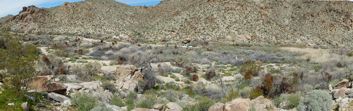Panoramic view of Hiko Springs evapotranspiration station, Nev.