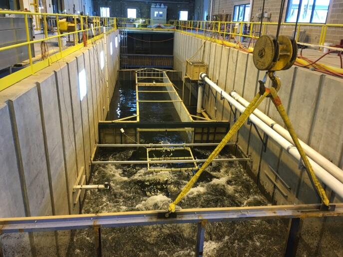 fish passage hydraulic flume