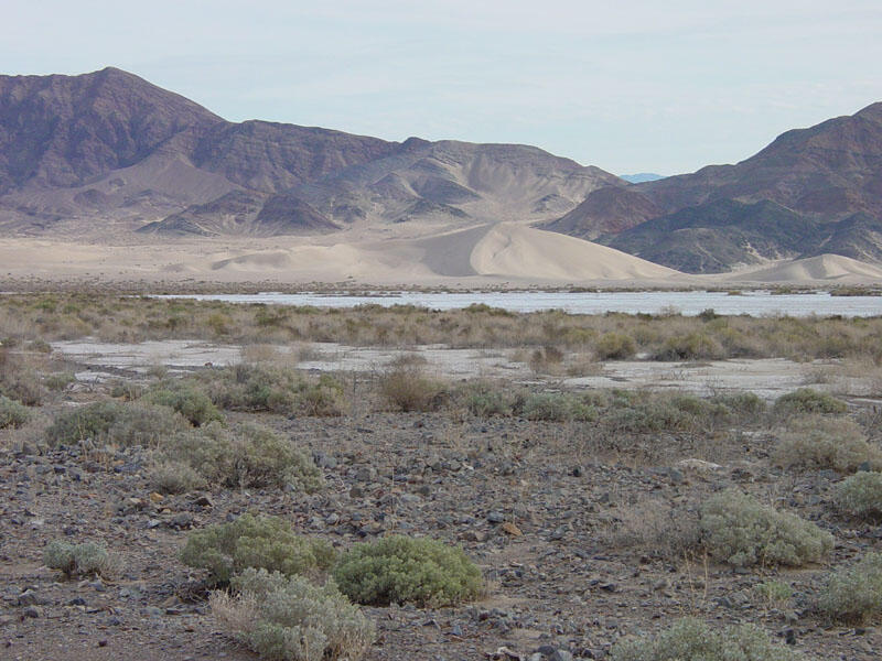 Ibex Dunes