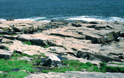 Photograph of igenous rocks