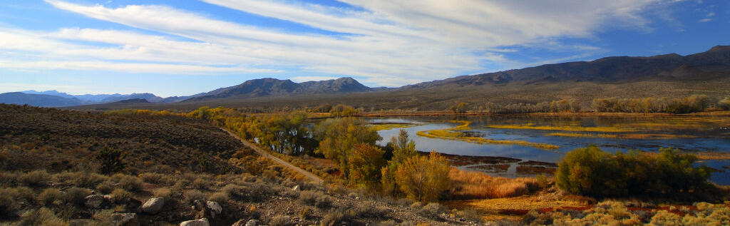 Upper Pahranagat Lake in October 2008