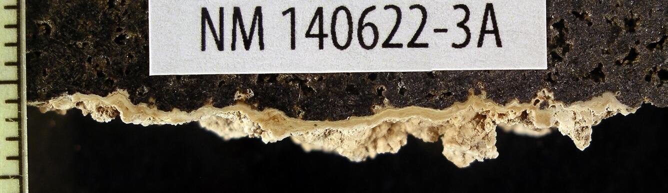 a finely laminated pedogenic carbonate coating developed on the underside of an alluvial clast of basalt