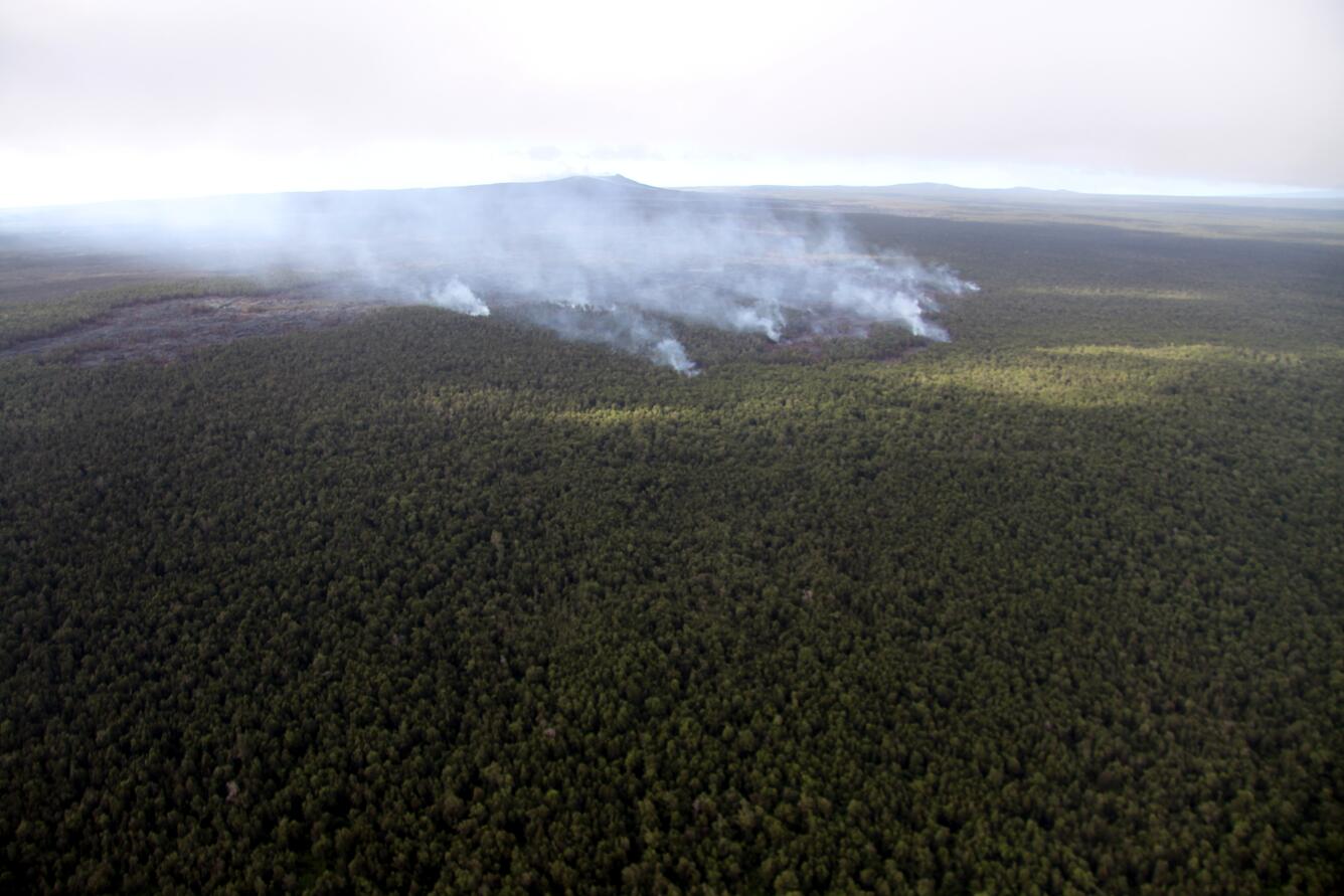 This is a photo of Lava flows enter the forest northeast of Pu‘u ‘Ō‘ō, visible in the background, on December 26, 2013.