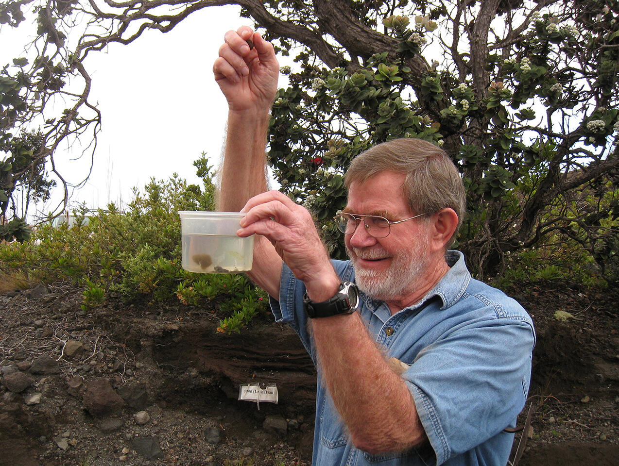 Don Swanson demonstrates that reticulite sinks