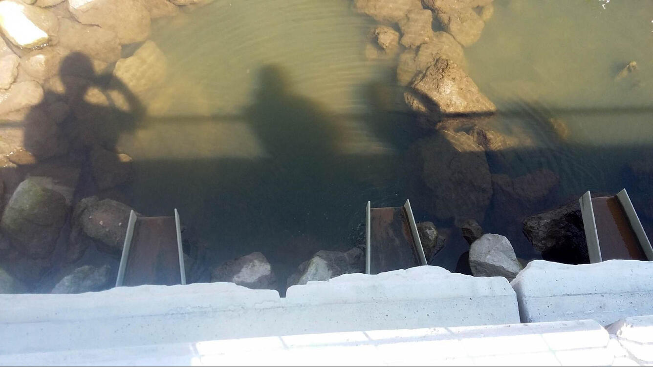 RCSP intertidal area flume outfall