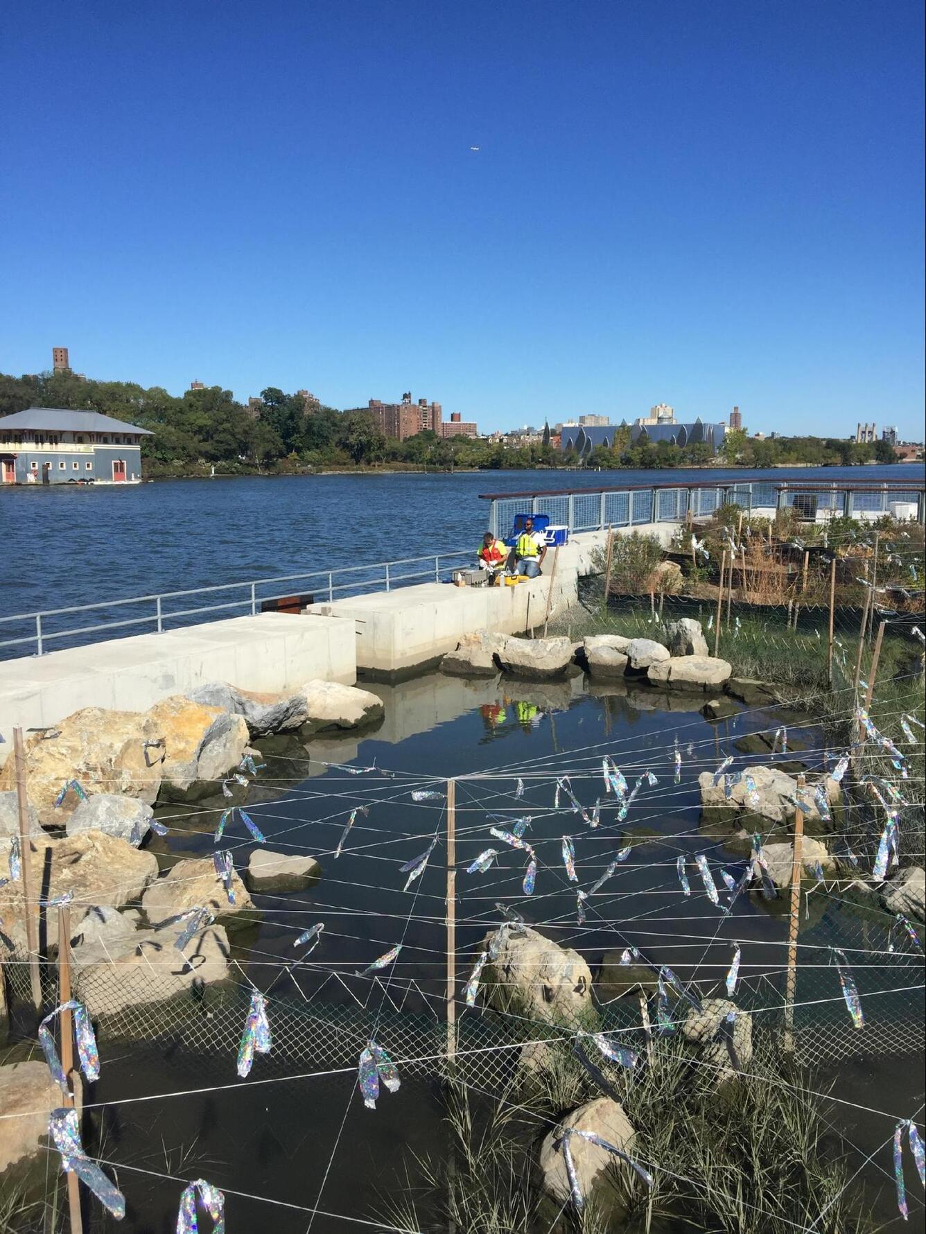 RCSP intertidal area water-quality sampling.