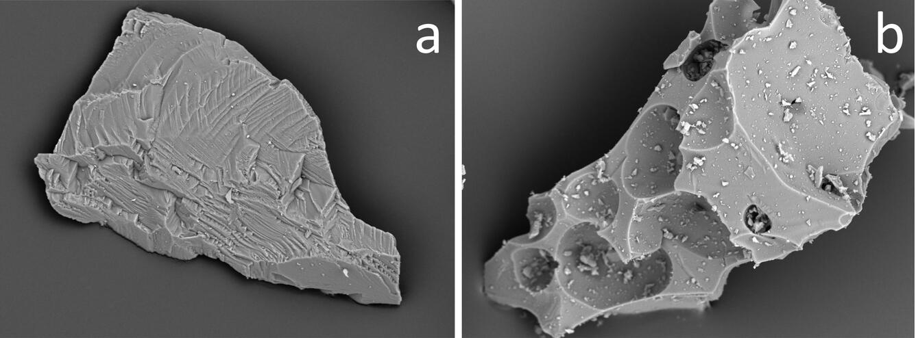 Black and white SEM image of ash