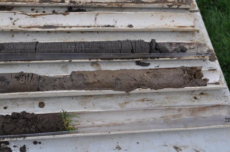 Sediment cores of glacial till with 2 silty sand stringers, School Branch, IN