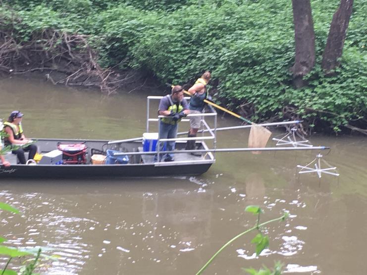 U.S. Geological survey crew shocking fish along the Middle Blue River