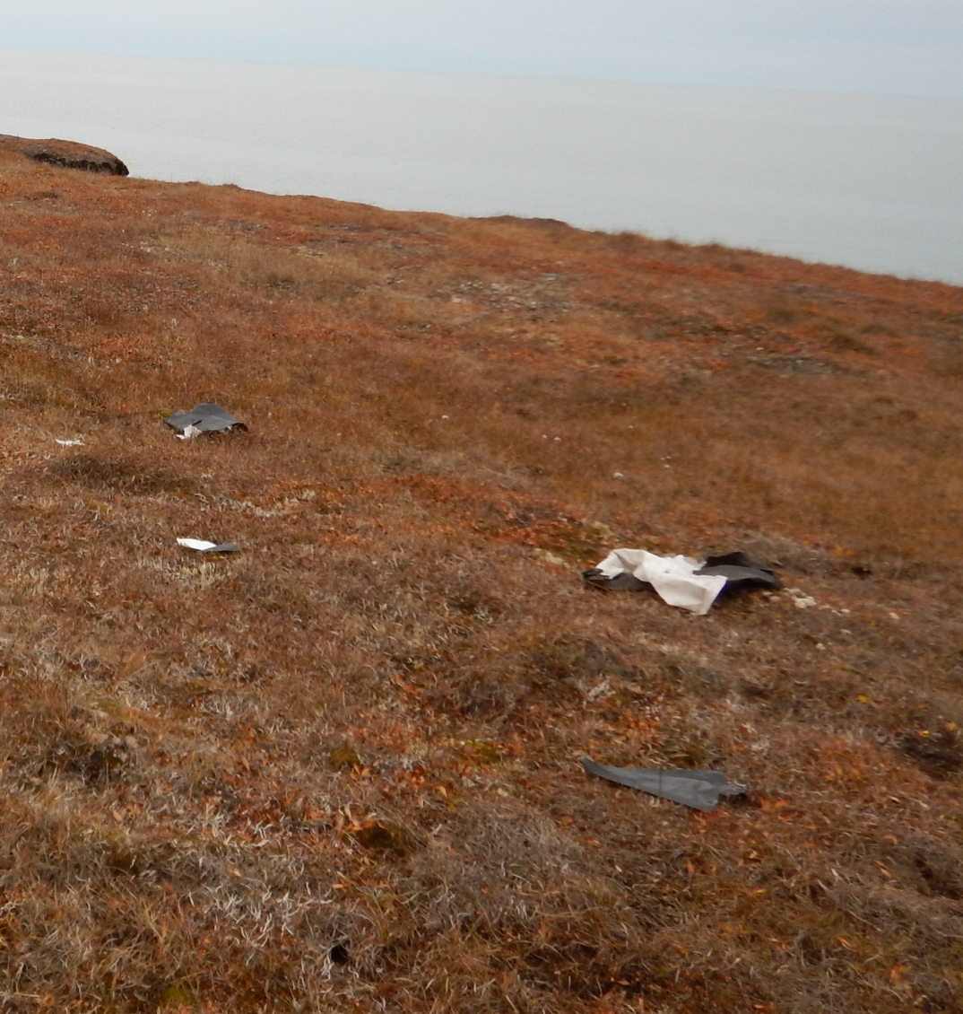 Small chunks of a shredded tarp lie on the frozen tundra near a coastal bluff.