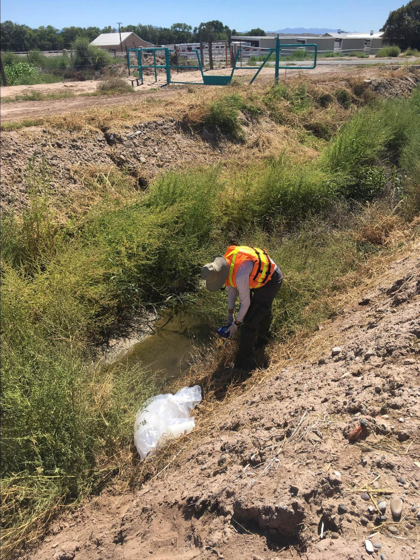 Collecting water quality data at northern Barr Drain 