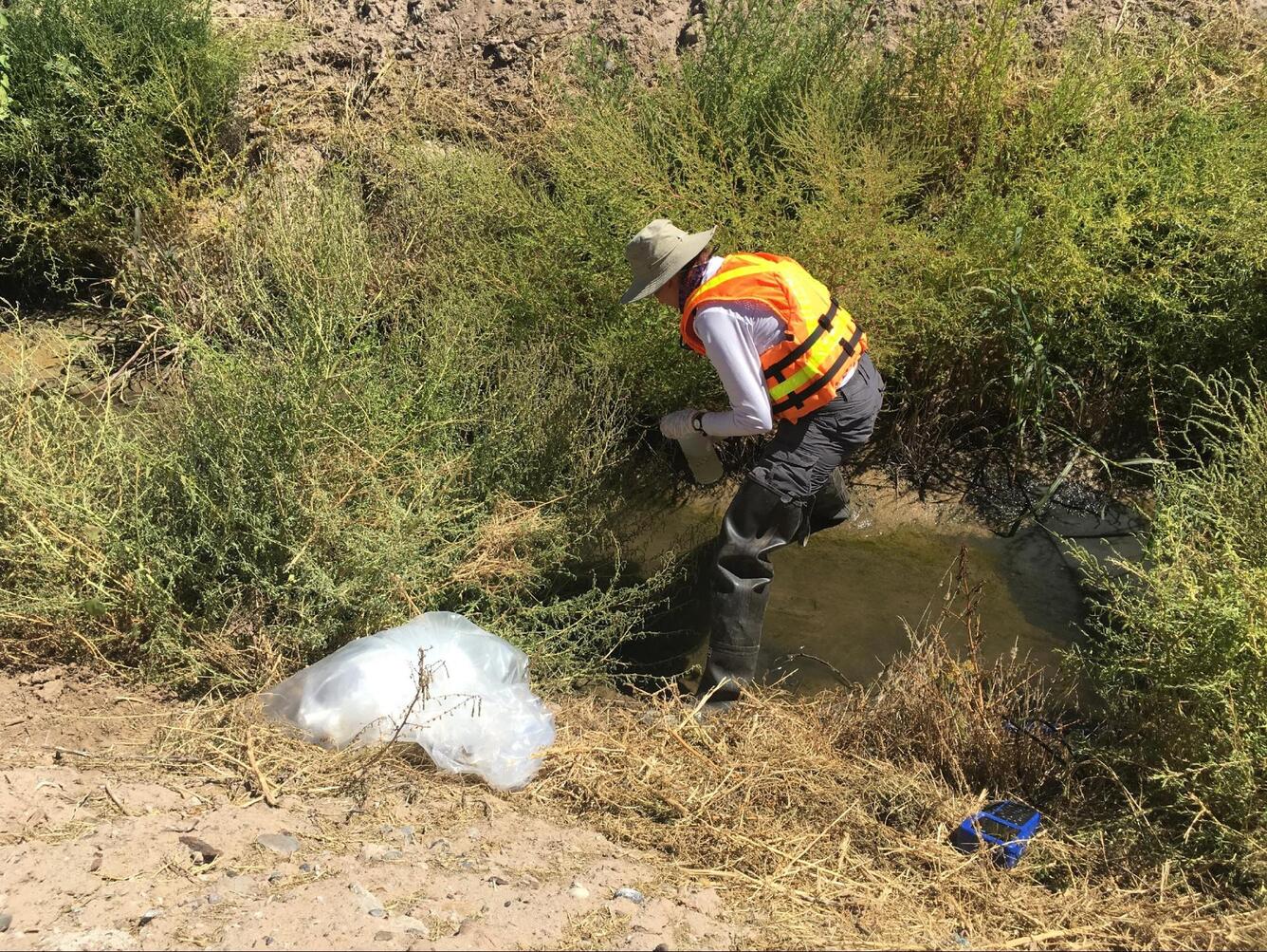 Collecting water quality data at northern Barr Drain